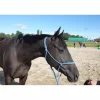 Licol éthologique taille cheval