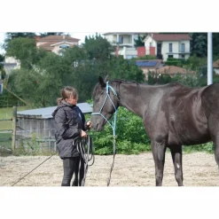 Licol éthologique taille cheval