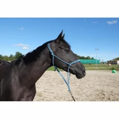 Licol éthologique taille cheval