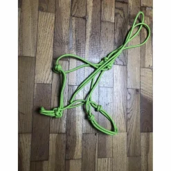 licol éthologique vert