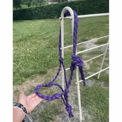 Licol éthologique violet et noir COB
