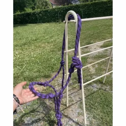 Licol éthologique violet et noir COB