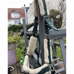 licol vert