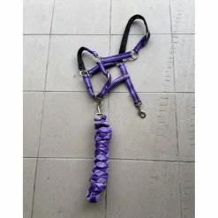 Licol Violet