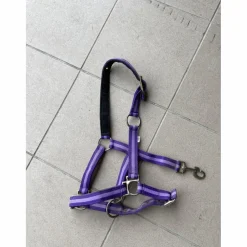 Licol Violet