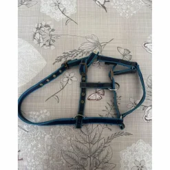 Licole covalliero bleu