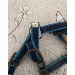 Licole covalliero bleu