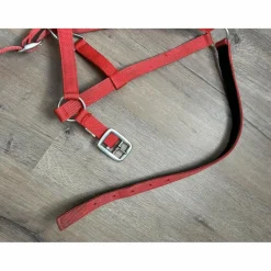 licole simple rouge