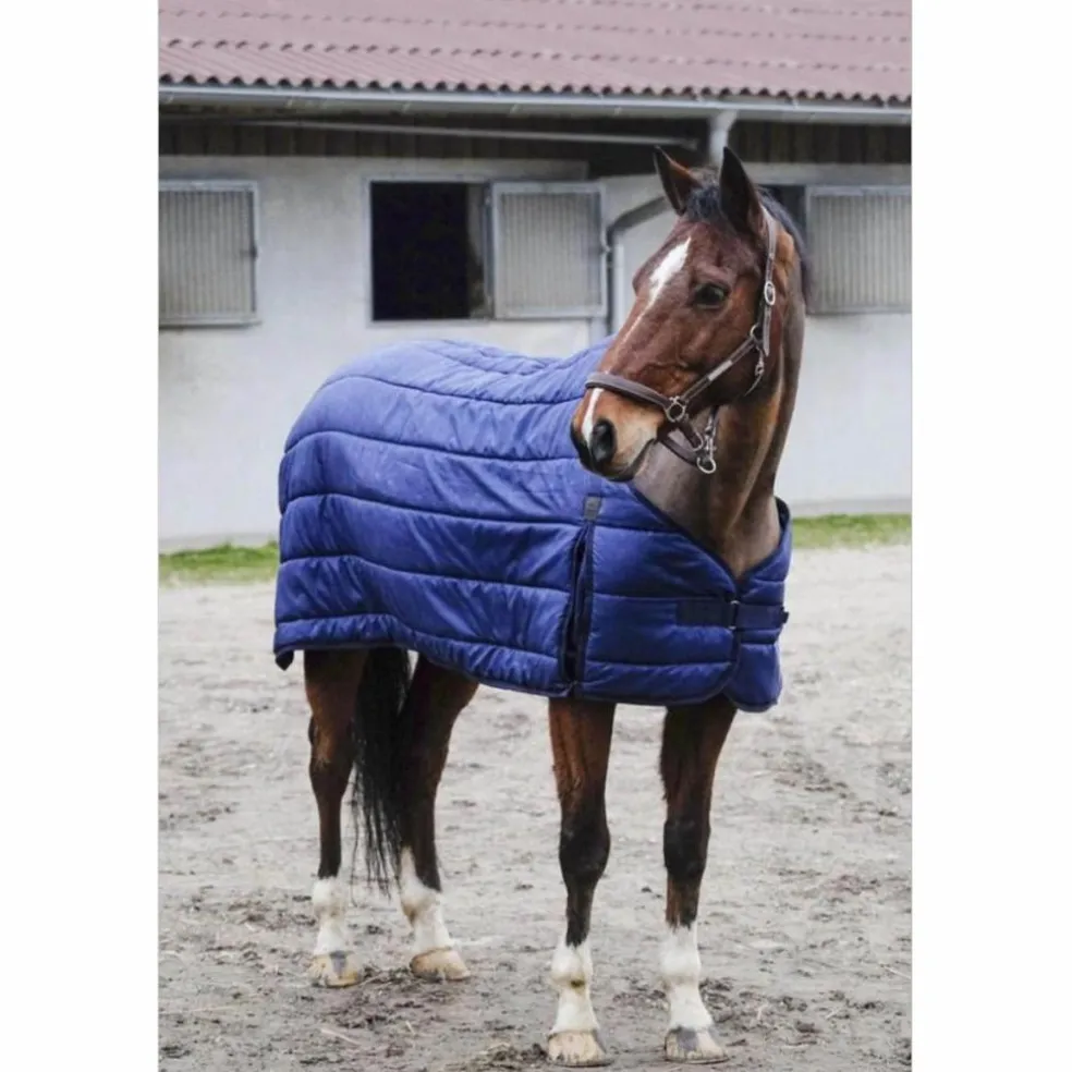 Liner Equithème 200g