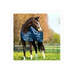 Liner Horseware neuf