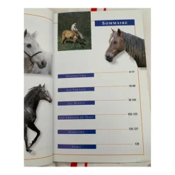Livre chevaux et poneys
