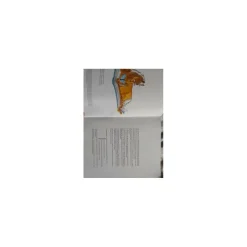 livre galop 5 à 7