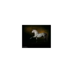 livre Les chevaux
