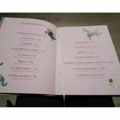Livre mes 15 plus belles histoires de chevaux
