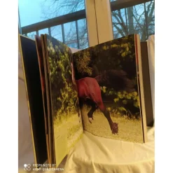 Livre sur les chevaux
