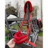 longe et licol rouge