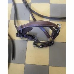 lot 2 muserolles CWD +1 Dyon
