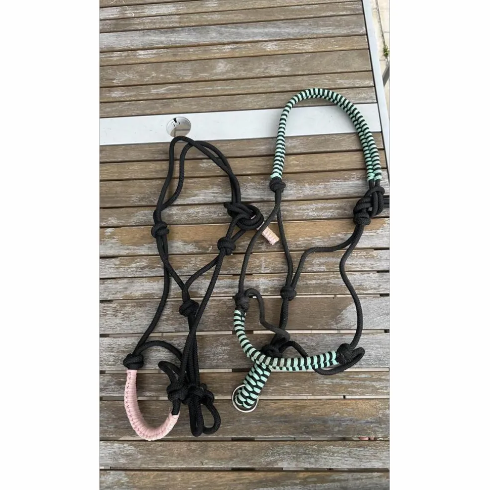 lot de 2 licols éthologiques 1 taille cob & 1 taille cheval