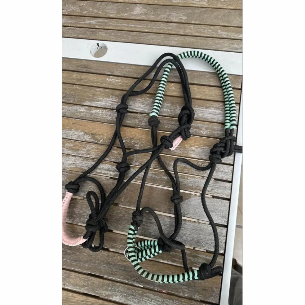 lot de 2 licols éthologiques 1 taille cob & 1 taille cheval