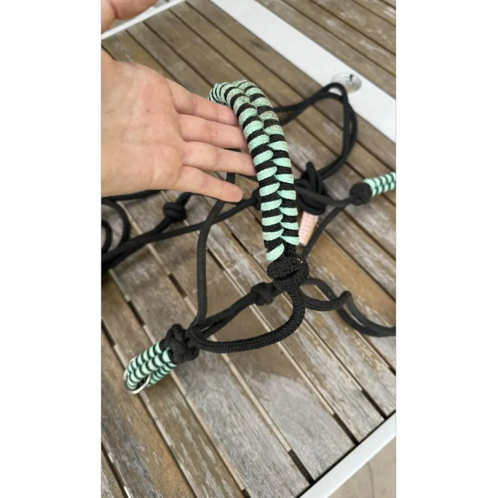 lot de 2 licols éthologiques 1 taille cob & 1 taille cheval