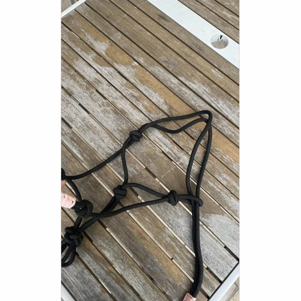 lot de 2 licols éthologiques 1 taille cob & 1 taille cheval