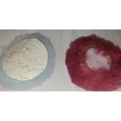 Lot de 2 pads moton véritable