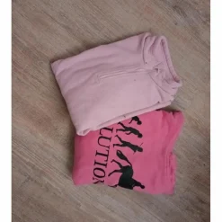 Lot de 2 pulls enfants