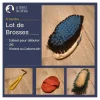 Lot de brosses