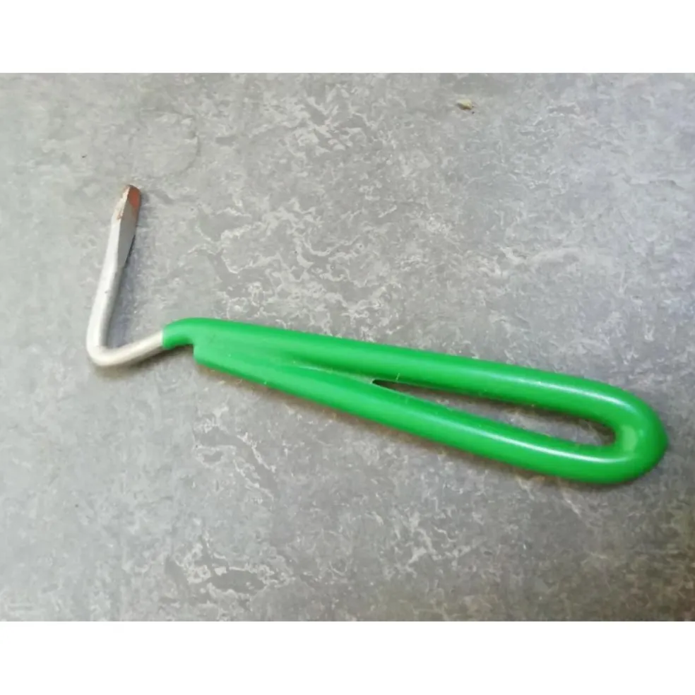 Lot de brosses désinfectées