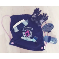 LOT DE BROSSES+SAC+GANTS