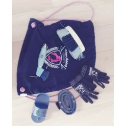 LOT DE BROSSES+SAC+GANTS