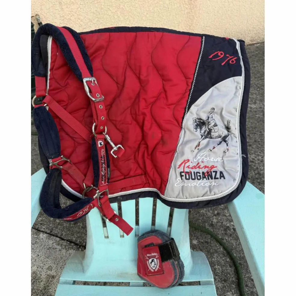 Lot Fouganza