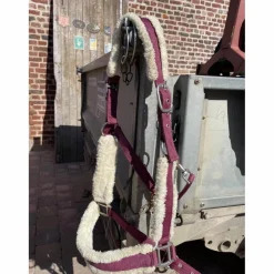 lot (licol, longe de travail, protection)