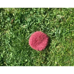 Lot moumoutes licol + rond de filet