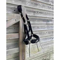 Lot Thinline : panier, licol et protections de licol