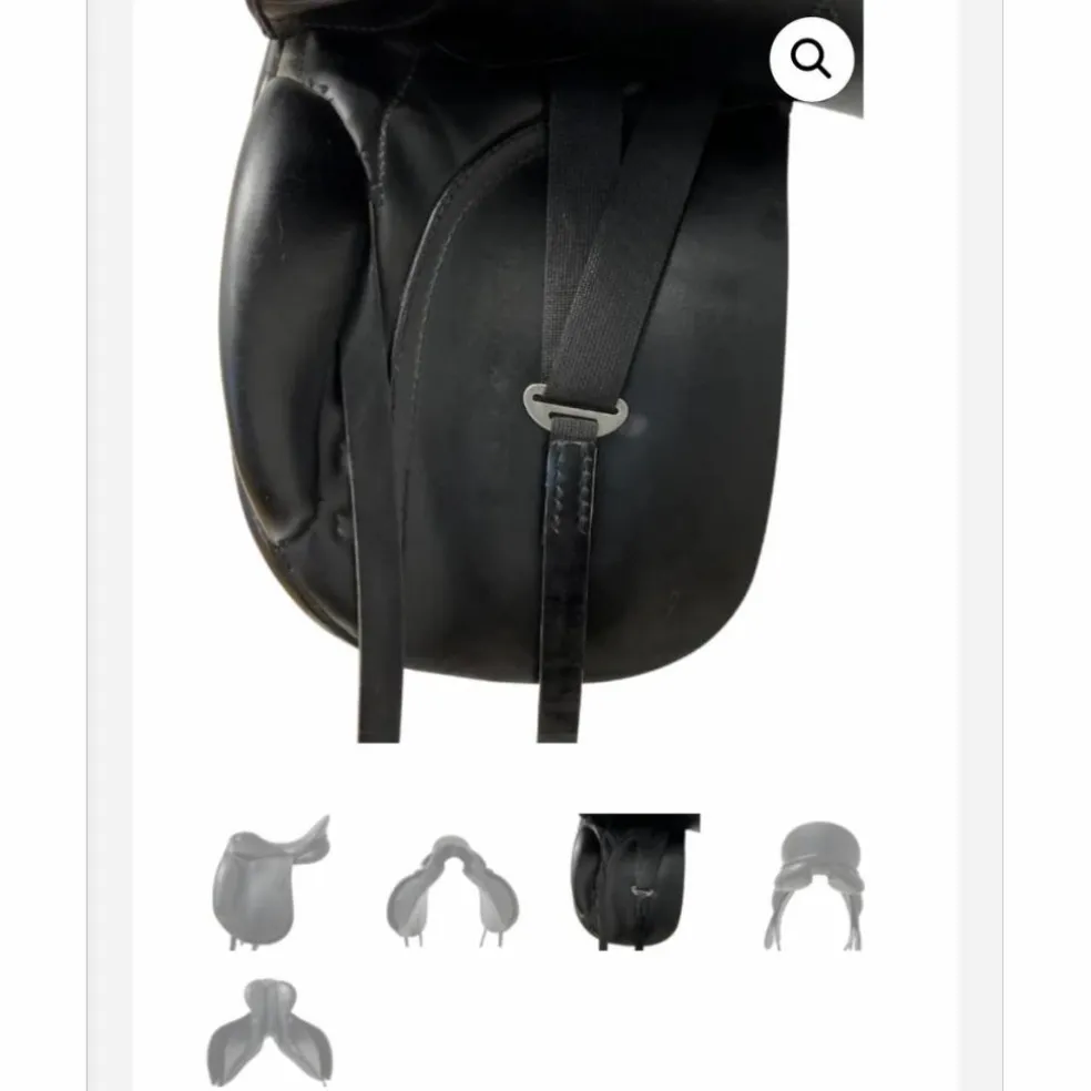 Magnifique selle de dressage Passier Corona II 17.5