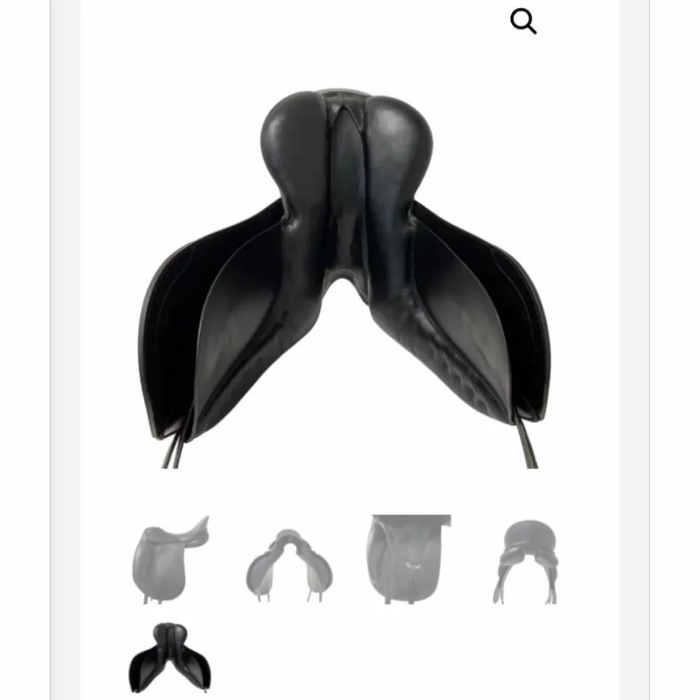 Magnifique selle de dressage Passier Corona II 17.5