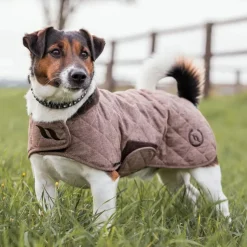 Manteau chien hiver