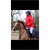 Manteau Horse Pilot
