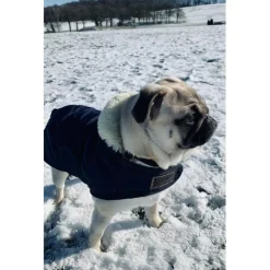 Manteau Kentucky XS