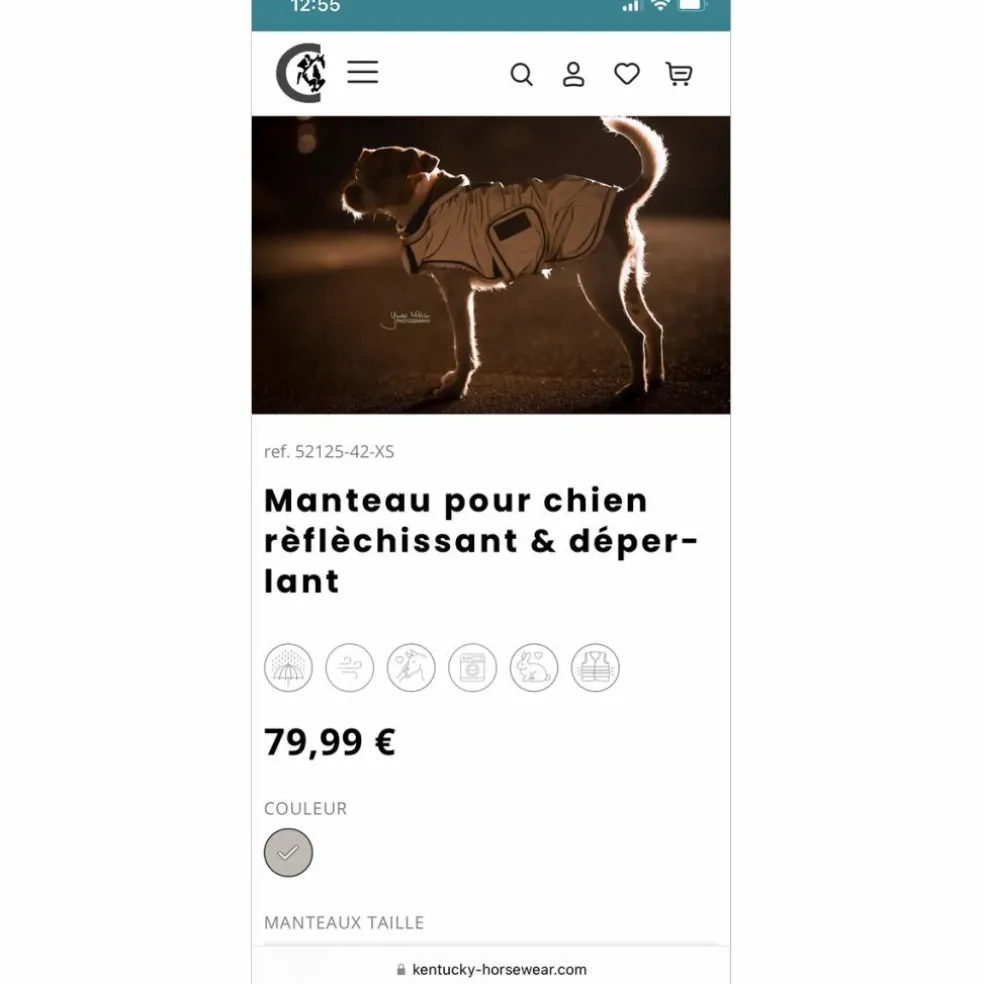 Manteau pour chien