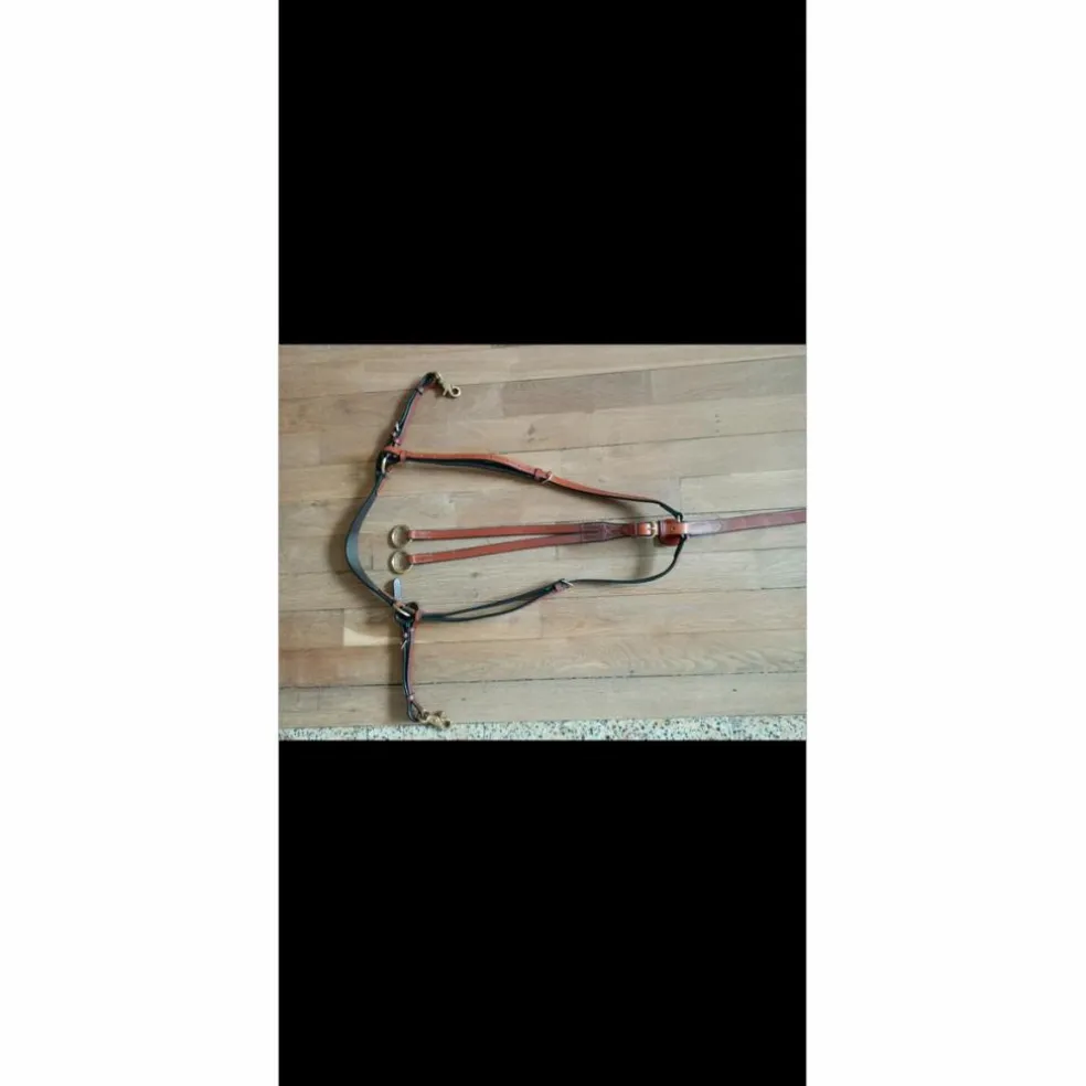 Martingale