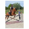 martingale