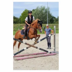 martingale