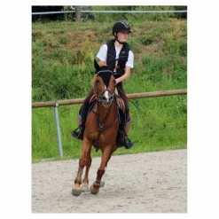 martingale