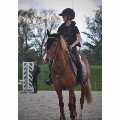 martingale