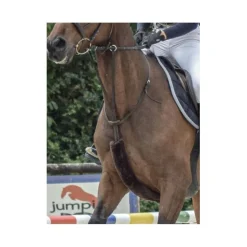Martingale