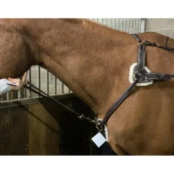 Martingale
