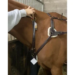 Martingale