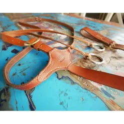 Martingale à anneaux
